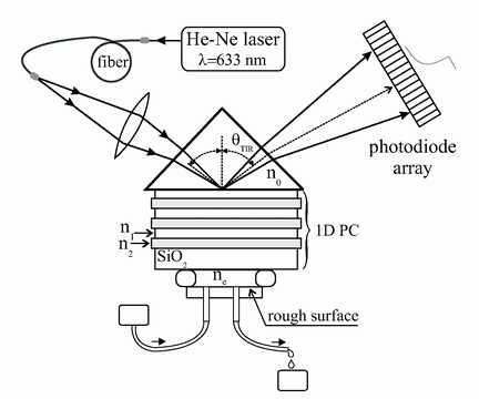 Fig.1