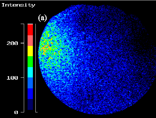 Fig.2a