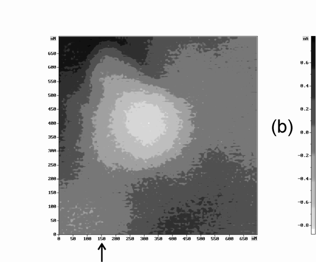 Fig.5b